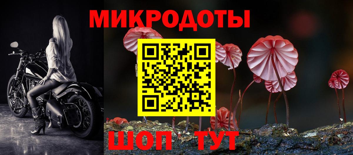 Псилоцибиновые грибы мицелий Тула