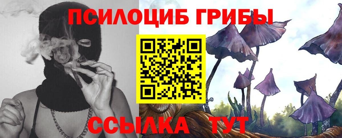 Галлюциногенные грибы MAGIC MUSHROOMS  Вход с VPN  Псилоцибиновые грибы мухоморы  Тула 
